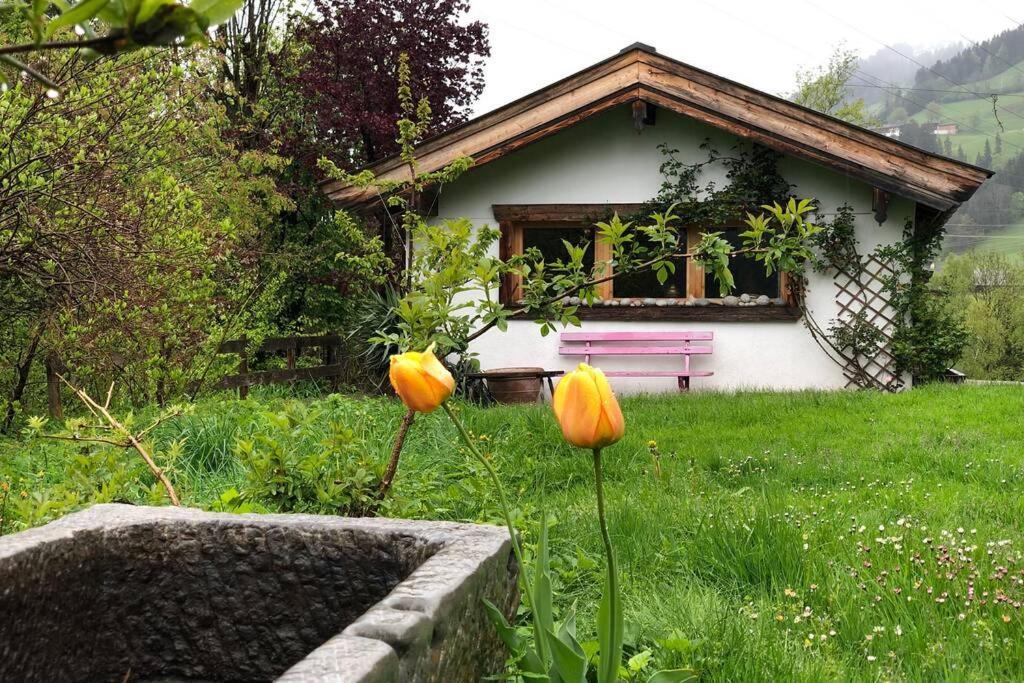 Zuhaus Schernfeichten Kitzbühel Kültér fotó